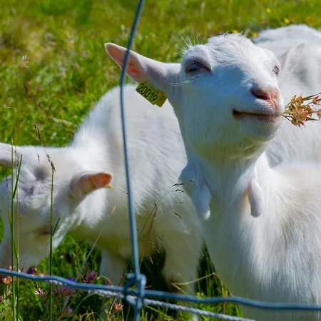 Modern Comforts, And Access