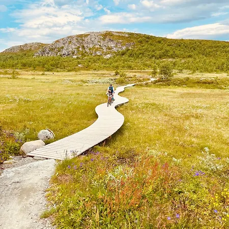 Modern Comforts, And Access * Beitostolen