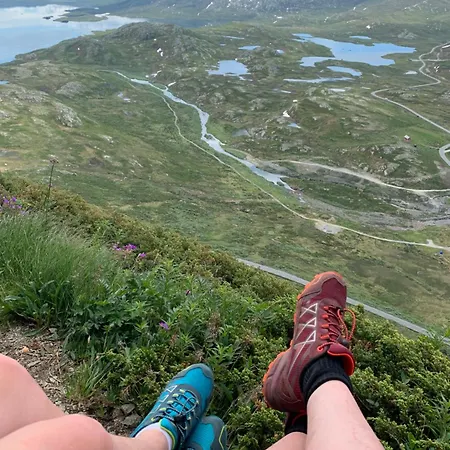 Modern Comforts, And Access Chalet Beitostolen