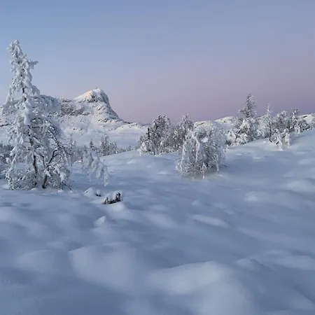 Chalet Modern Comforts, And Access