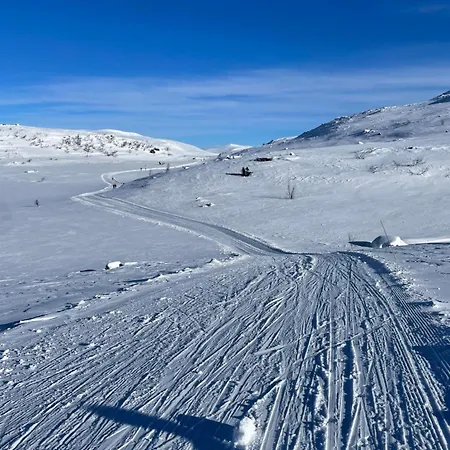 Modern Comforts, And Access Beitostolen