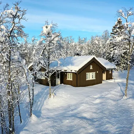 Chalet Modern Comforts, And Access Beitostolen