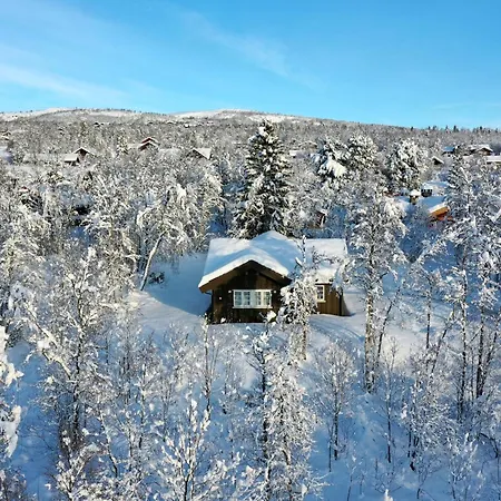 Modern Comforts, And Access Chalet Beitostolen