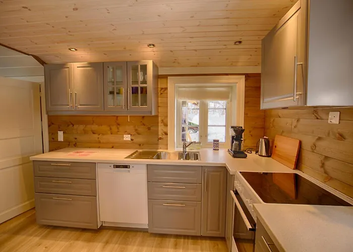 Modern Comforts, And Access Alpstuga Beitostolen